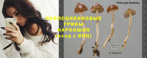 альфа пвп Переславль-Залесский