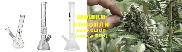 ПСИЛОЦИБИНОВЫЕ ГРИБЫ Алзамай