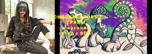 стафф Алексеевка